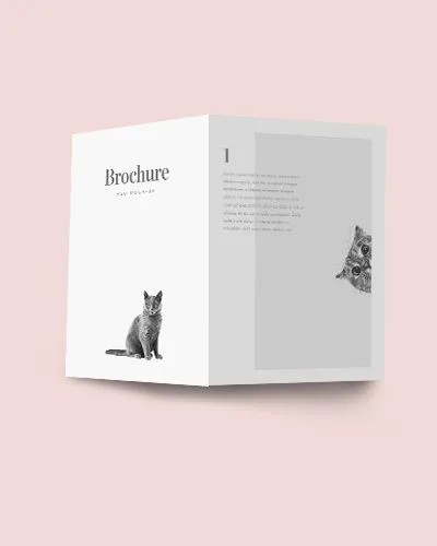 Portfolio Item - 世界杯
